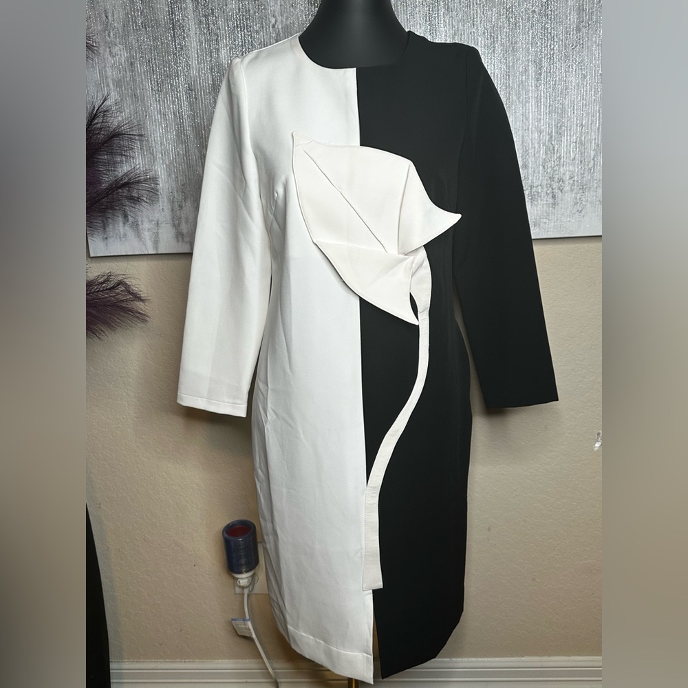Chic Monochrome Long Sleeve Dress